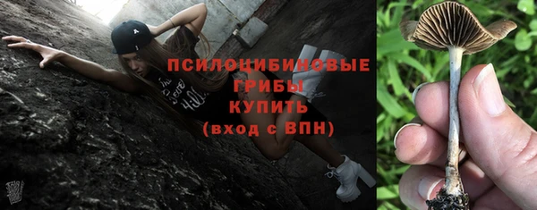 2c-b Балабаново